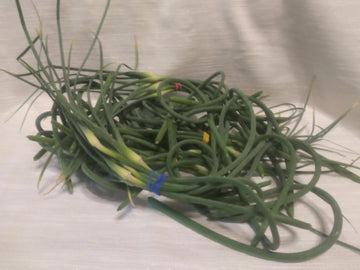 Farm Fresh Garlic Scapes - Locally Grown in Ladd, Illinois - Vegetables