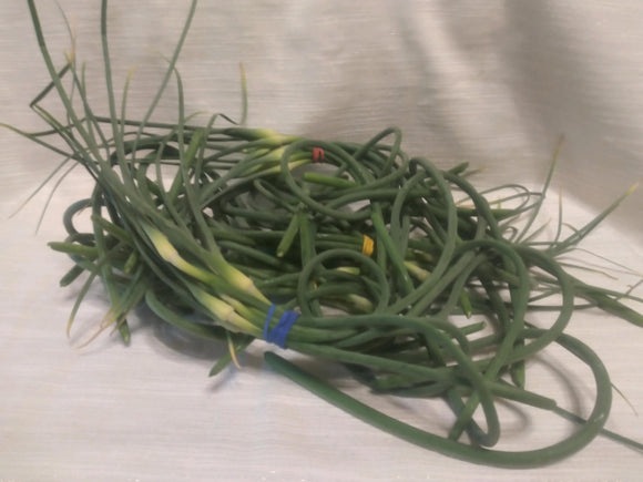 Farm Fresh Garlic Scapes - Locally Grown in Ladd, Illinois - Vegetables