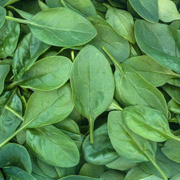 Spinach - 8 oz