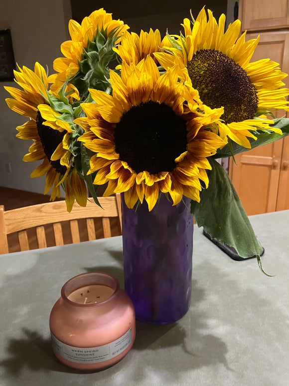 Flowers - Sunflowers - 4 stems