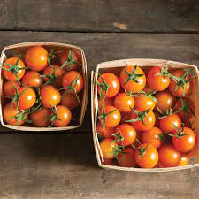 Farm Fresh Tomatoes - Sungold Cherry - Locally Grown in Ladd, Illinois - New