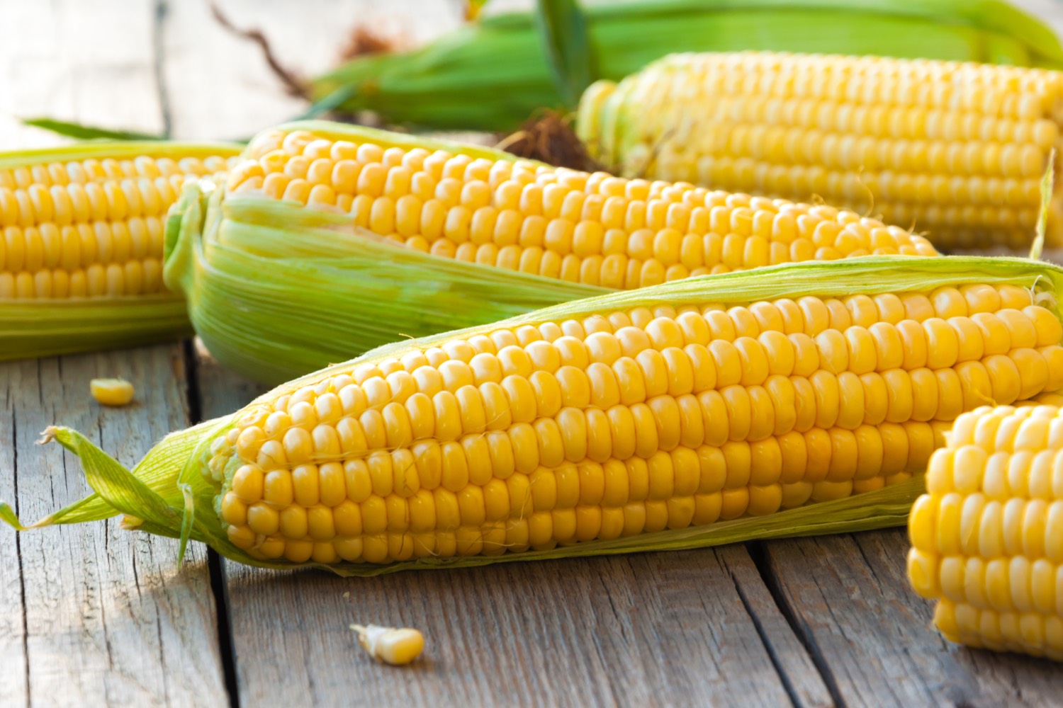 Sweet Corn - Half Dozen