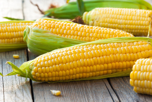 Sweet Corn - Half Dozen