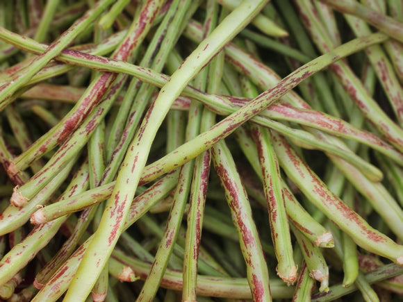 Thai Beans - 8 oz