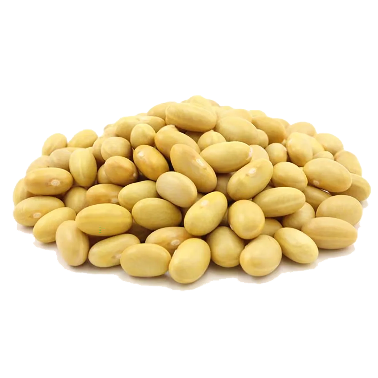 Organic Dry Beans