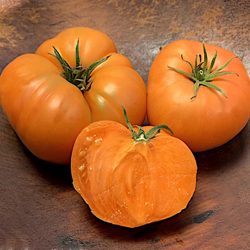 Tomatoes - Yellow Slicing